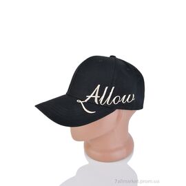 Фотография Кепка для мужчин Весна/осень 12-09 black (5 шт. р.сетка 56-58) "TUZZI" недорого оптом от прямого поставщика