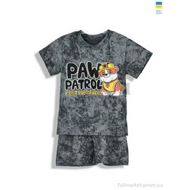 Костюм дитячий Літо 221528 сірий (5 шт. р.сітка92-122) "Kir15" недорого оптом від прямого постачальника