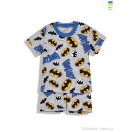 Костюм дитячий Літо 221126 сірий (5 шт. р.сітка92-122) "Kir15" недорого оптом від прямого постачальника