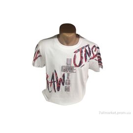 Фотография Футболка мужская Лето 22003 білий (4 шт. р.сетка M-2XL) "TurkishBrend" недорого оптом от прямого поставщика