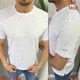 Футболка чоловіча ND1089-18 white р.2XL-5XL "EMRE" недорого оптом від прямого постачальника