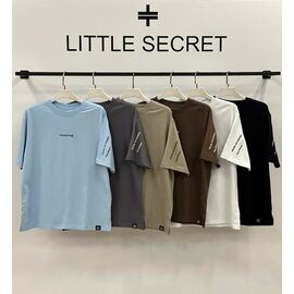 Футболка чоловіча 500502 mint р.M-XL "Little Secret" недорого оптом від прямого постачальника