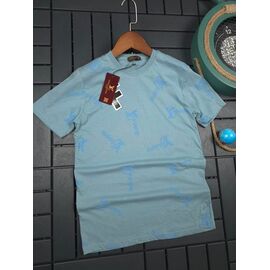 Футболка чоловіча W26558 l.blue р.S-2XL "Verton" недорого оптом від прямого постачальника