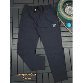 Фотография Штаны спортивные мужские W26587 d.grey р.2XL-6XL "Verton" недорого оптом от прямого поставщика