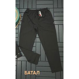 Фотография Штаны спортивные мужские W26593 black р.2XL-6XL "Verton" недорого оптом от прямого поставщика
