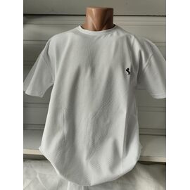 Футболка чоловіча 1627 white р.4XL-8XL "RING" недорого оптом від прямого постачальника