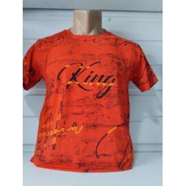 Футболка чоловіча 1720 orange р.S-2XL "RING" недорого оптом від прямого постачальника