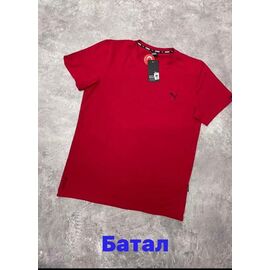 Фотография Футболка мужская 13806 red р.2XL-6XL "Alex Clothes" недорого оптом от прямого поставщика