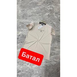Фотография Футболка мужская 13813 beige р.2XL-6XL "Alex Clothes" недорого оптом от прямого поставщика