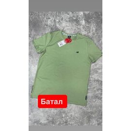 Фотография Футболка мужская 13814 mint р.2XL-6XL "Alex Clothes" недорого оптом от прямого поставщика