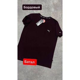 Фотография Футболка мужская 13815 wine р.2XL-6XL "Alex Clothes" недорого оптом от прямого поставщика