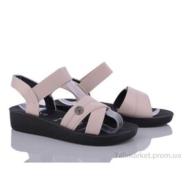 Босоніжки жіночі літні Літо C19-3 (8 пар р.36-41) "Ok Shoes" недорого оптом від прямого постачальника