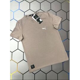 Фотография Футболка мужская 13833 beige р.S-2XL "Alex Clothes" недорого оптом от прямого поставщика