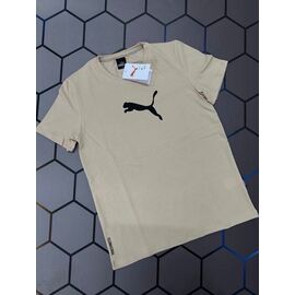 Фотография Футболка мужская 13852 beige р.S-2XL "Alex Clothes" недорого оптом от прямого поставщика