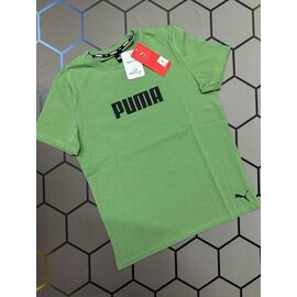 Футболка чоловіча 13884 green р.S-2XL "Alex Clothes" недорого оптом від прямого постачальника