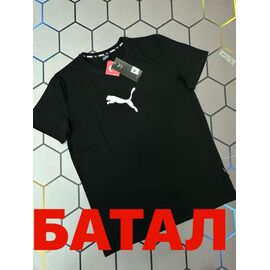 Фотография Футболка мужская 13935 black р.2XL-6XL "Alex Clothes" недорого оптом от прямого поставщика