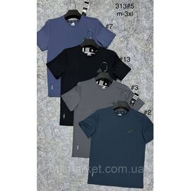 Фотография Футболка мужская молодёжная р-р оверсайз M-3XL (4цв) "PROSTOMEN" недорого оптом от прямого поставщика