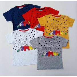 Фотография Футболка детская на мальчика ML4697 grey р.2-8 "Meloria" недорого оптом от прямого поставщика