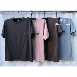 Фотография Футболка мужская S2686 brown р.46-54 "Shon" недорого оптом от прямого поставщика