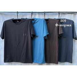 Фотография Футболка мужская S2690 brown р.46-54 "Shon" недорого оптом от прямого поставщика