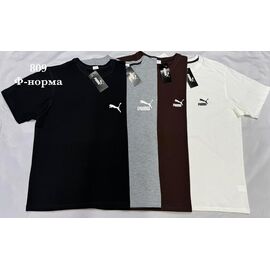 Футболка чоловіча S2896 l.grey р.S-2XL "Shon" недорого оптом від прямого постачальника