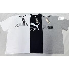 Футболка чоловіча S2919 grey р.S-2XL "Shon" недорого оптом від прямого постачальника