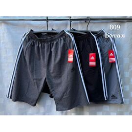 Шорти чоловічі S2836 l.grey р.56-64 "Shon" недорого оптом від прямого постачальника