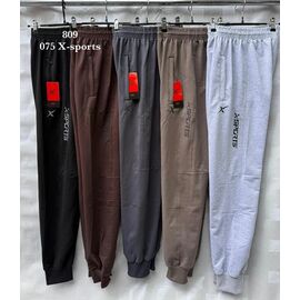 Штани спортивні чоловічі S2766 l.grey р.48-58 "Shon" недорого оптом від прямого постачальника