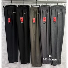 Штани спортивні чоловічі S2649 grey р.58-66 "Shon" недорого оптом від прямого постачальника