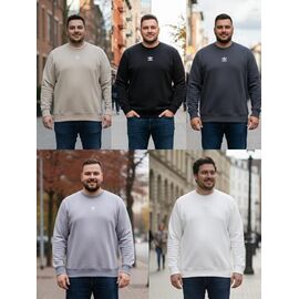 Фотография Свитер мужской S2740 beige р.54-62 "Shon" недорого оптом от прямого поставщика