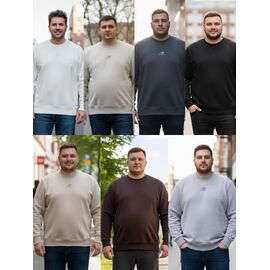 Фотография Свитер мужской S2752 l.grey р.54-62 "Shon" недорого оптом от прямого поставщика