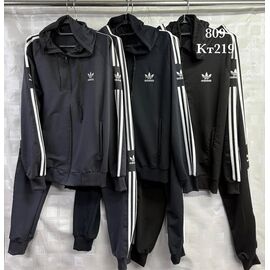 Костюм спортивний чоловічий S2657 brown р.48-56 "Shon" недорого оптом від прямого постачальника