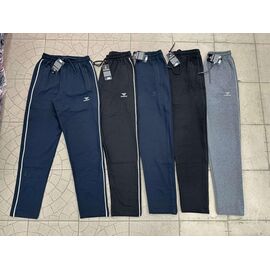 Штани спортивні чоловічі 7420 grey р.S-2XL "ROLADA" недорого оптом від прямого постачальника