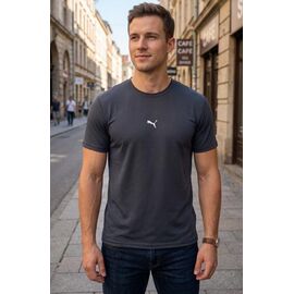 Футболка чоловіча 7436 grey р.S-2XL "ROLADA" недорого оптом від прямого постачальника
