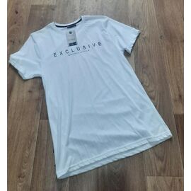 Футболка чоловіча 7475 white р.M-2XL "ROLADA" недорого оптом від прямого постачальника