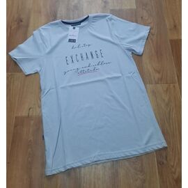 Футболка чоловіча 7476 grey р.M-2XL "ROLADA" недорого оптом від прямого постачальника