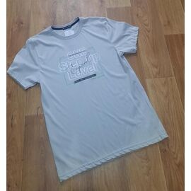 Футболка чоловіча 7480 grey р.M-2XL "ROLADA" недорого оптом від прямого постачальника