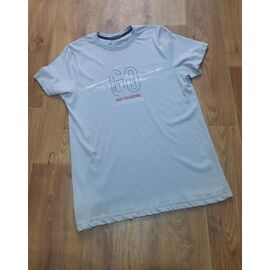 Футболка чоловіча 7487 grey р.M-2XL "ROLADA" недорого оптом від прямого постачальника