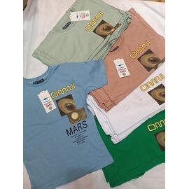 Фотография Футболка детская на мальчика ZA2488 brown р.116-164 "Zayka" недорого оптом от прямого поставщика