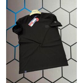 Футболка чоловіча 13951 black р.S-2XL "Alex Clothes" недорого оптом від прямого постачальника