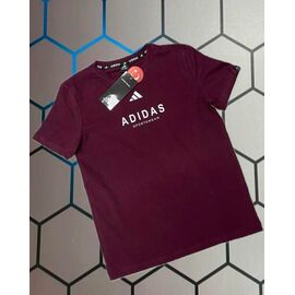 Фотография Футболка мужская 13961 wine р.S-2XL "Alex Clothes" недорого оптом от прямого поставщика