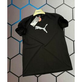 Фотография Футболка мужская 13976 black р.S-2XL "Alex Clothes" недорого оптом от прямого поставщика