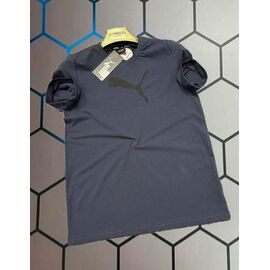 Фотография Футболка мужская 13981 grey р.S-2XL "Alex Clothes" недорого оптом от прямого поставщика