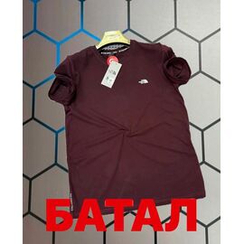 Фотография Футболка мужская 13988 wine р.2XL-6XL "Alex Clothes" недорого оптом от прямого поставщика