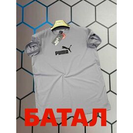 Фотография Футболка мужская 13992 grey р.2XL-6XL "Alex Clothes" недорого оптом от прямого поставщика