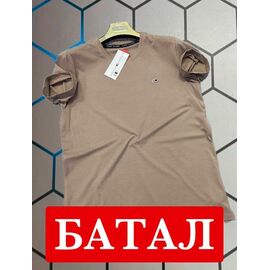 Фотография Футболка мужская 13994 beige р.2XL-6XL "Alex Clothes" недорого оптом от прямого поставщика