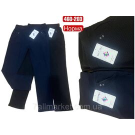 Фотография Брюки женские, стильные размеры 2XL-4XL(микс цв) "STELLA" недорого от прямого поставщика