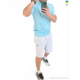 Фотография Костюм мужской Лето 2097 блакитно-меланжевий (4 шт. р.сетка M-2XL) "Alisa Brand" недорого оптом от прямого поставщика