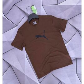 Фотография Футболка мужская W26843 brown р.S-2XL "Verton" недорого оптом от прямого поставщика