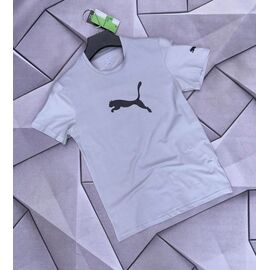 Фотография Футболка мужская W26844 grey р.S-2XL "Verton" недорого оптом от прямого поставщика